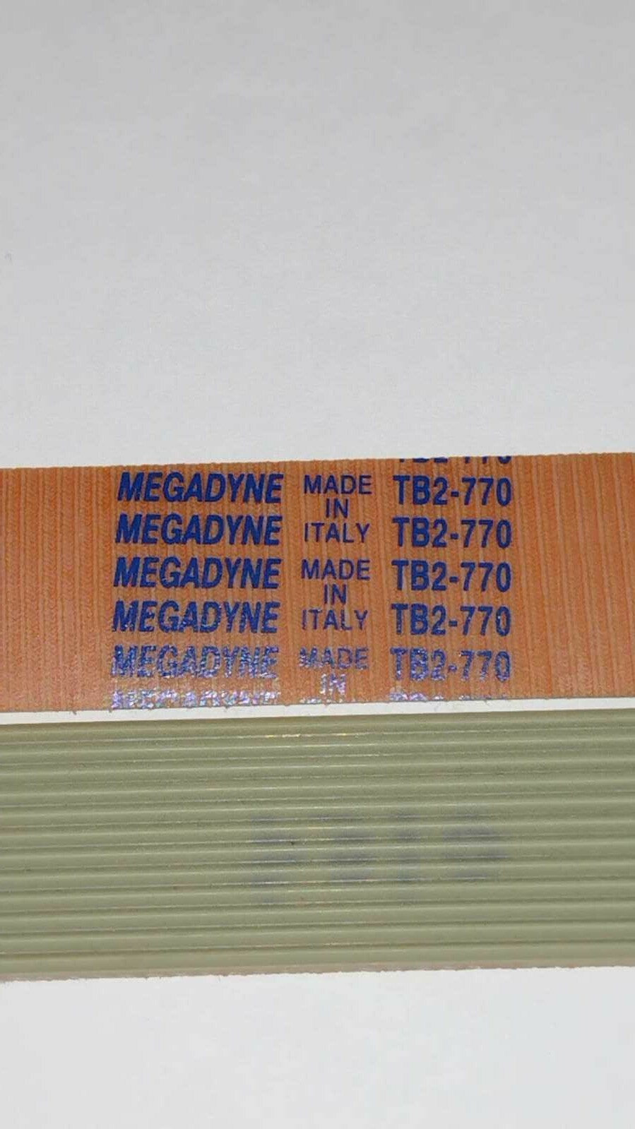 CINGHIA MULTIGRIP MEGADYNE TB2 770 H24 12 NERVATURE 9003667