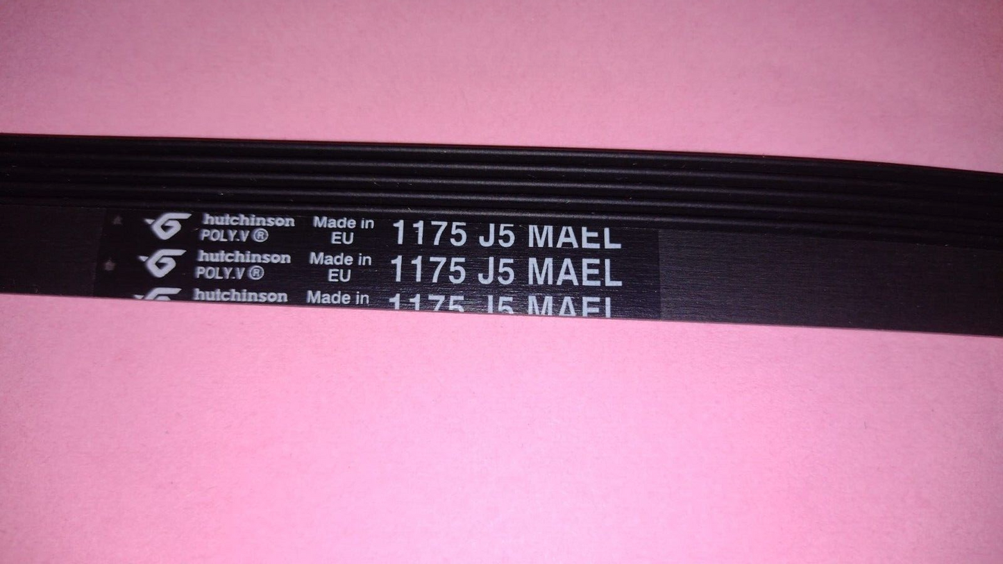 CINGHIA 1175J5 96X2024