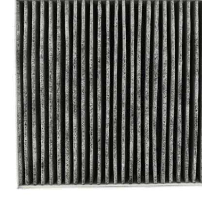 BOSCH FILTRO CARBONE RETTANGOLARE CAPPA ASPIRANTE BOSCH 11033934