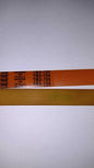 CINGHIA AFFETTATRICE MEGADYNE TB2-725 8 NERVATURE BELT MEGADYNE