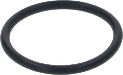 5109285 GUARNIZIONE CIALDA CIAO SPINEL SR.000.060.049 0430-40 FKM