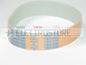 CINGHIA AFFETTATRICE MEGADYNE TB2-330 11 NERVATURE BELT MEGADYNE .
