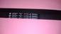 CINGHIA 1175J5 96X2024