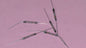 REED-CONTACT CONTATTO REED KSK-1A52-3040 1 CHIUSURA I=0,5A D.=2,75mm L=21mm