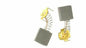 COPPIA carboncini 6 x 7 x 11 mm G041B