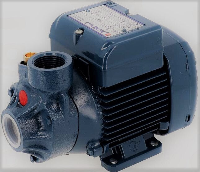 ELETTROPOMPA PEDROLLO CON GIRANTE PERIFERICA 0,37KW-0,5 HP 230V 50Hz