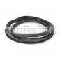 GUARNIZIONE BOSCH 754066 BOSCH 00754066 GUARNIZIONE FORNO
