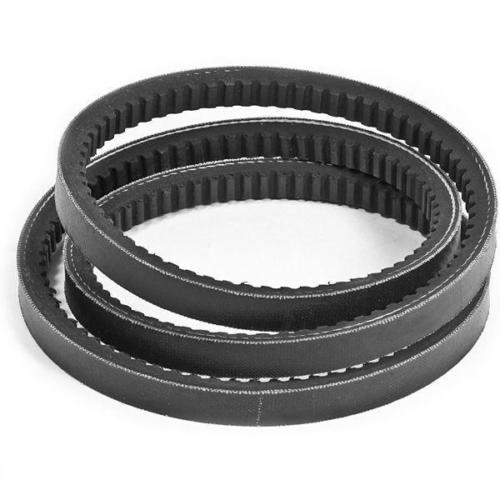 CINGHIA DENTATA XPZ 1000 3062031