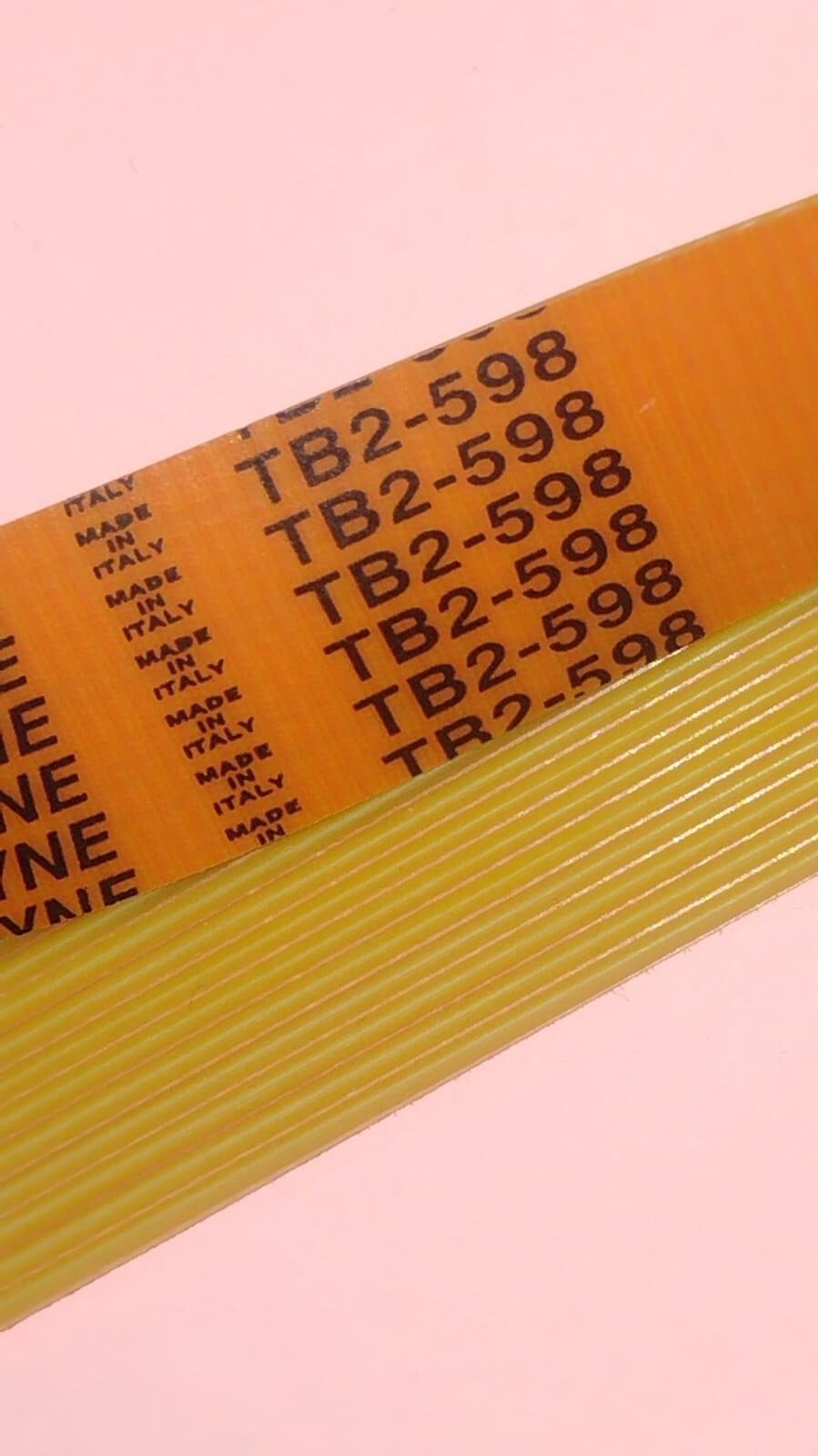 CINGHIA PIATTA MEGADYNE TB2-598 12 NERVATURE