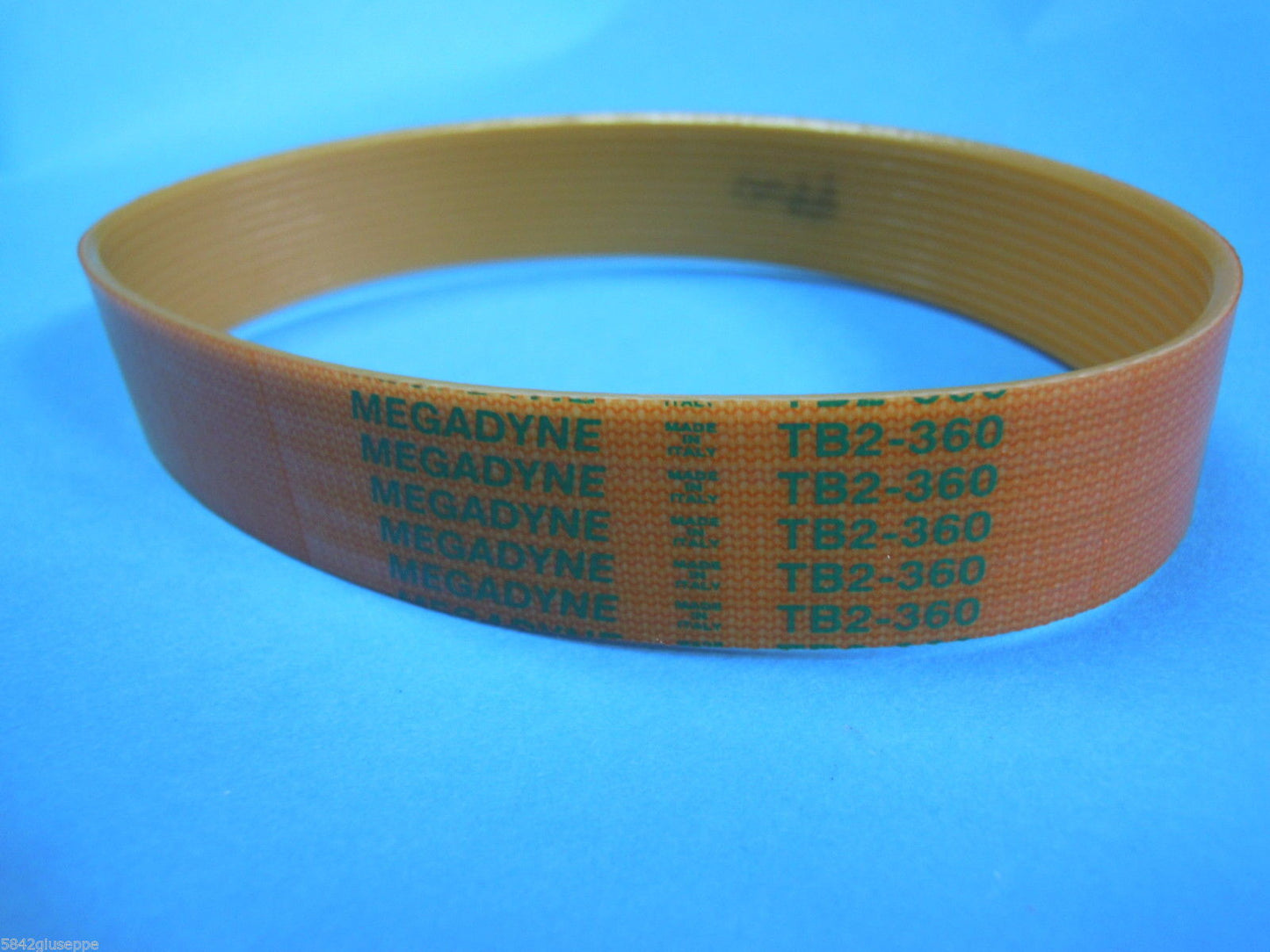 CINGHIA AFFETTATRICE CINGHIA MEGADYNE TB2-360 12 NERVATURE