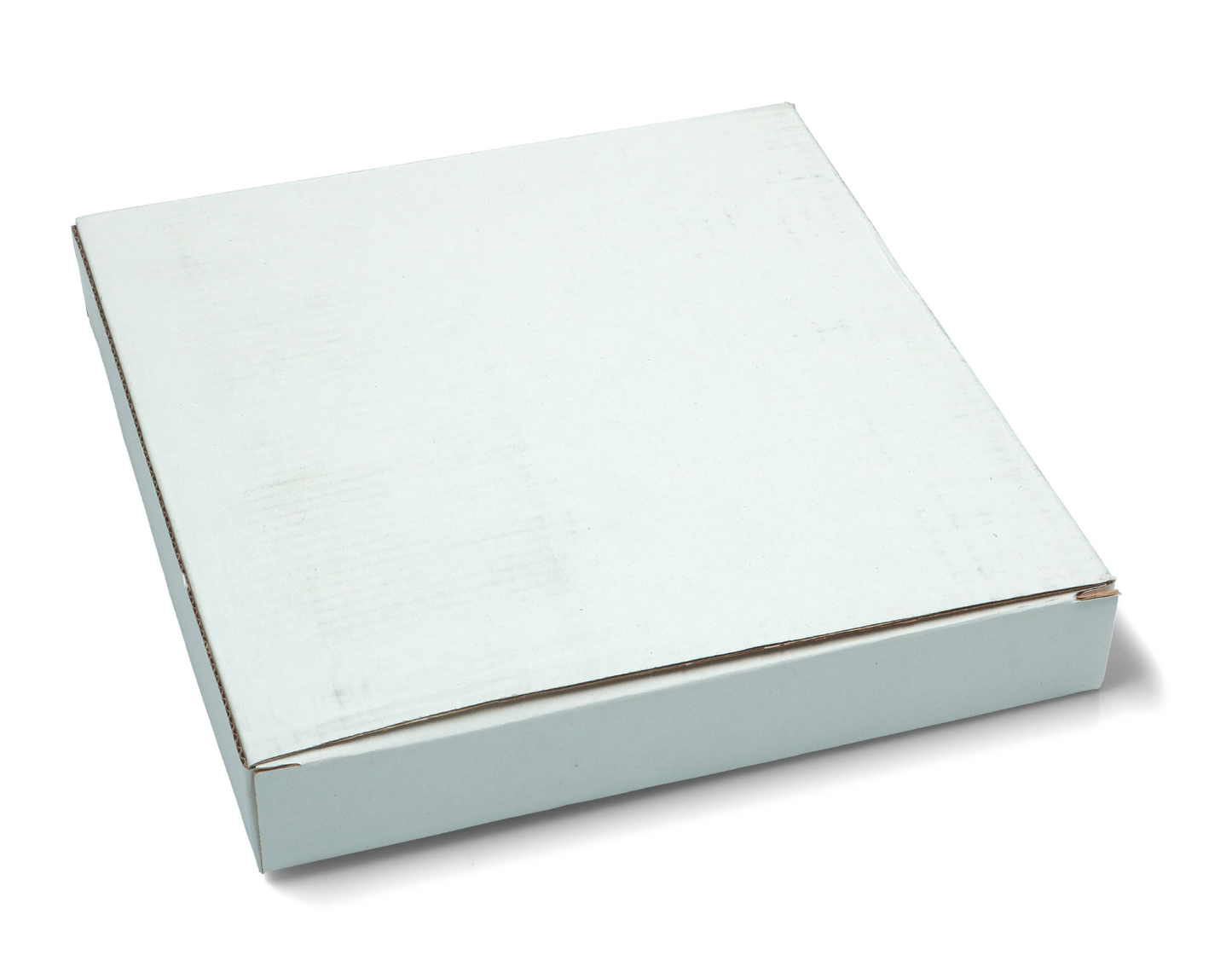 FILTRO CARBONE ATTIVO CAPPA WHIRLPOOL MODELLO 15 482000023518 48000008575