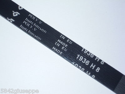 CINGHIA ASCIUGATRICE VARIE MARCHE EL 1936 H8 DAYCO *
