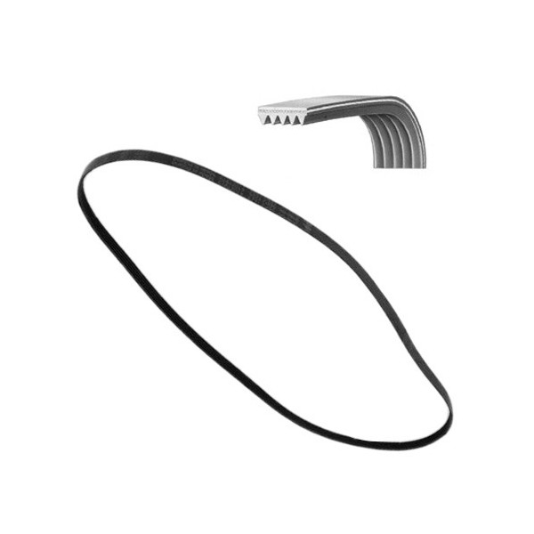 Ricambi 25: CINGHIA LAVATRICE VARIE MARCHE V 1600 H5 CONTITECH cinghia-v-1600-h5-asciugatrice.jpg