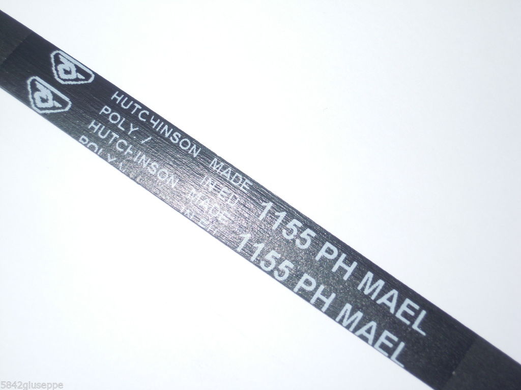 Ricambi 1: CINGHIA BOSCH CINGHIA 1155 P8 MAEL CINGHIA HUTCHINSON 1155 H8 cinghia_bosch_cinghia_1155_p8_mael_cinghia_hutchinson_1155_h8.jpg
