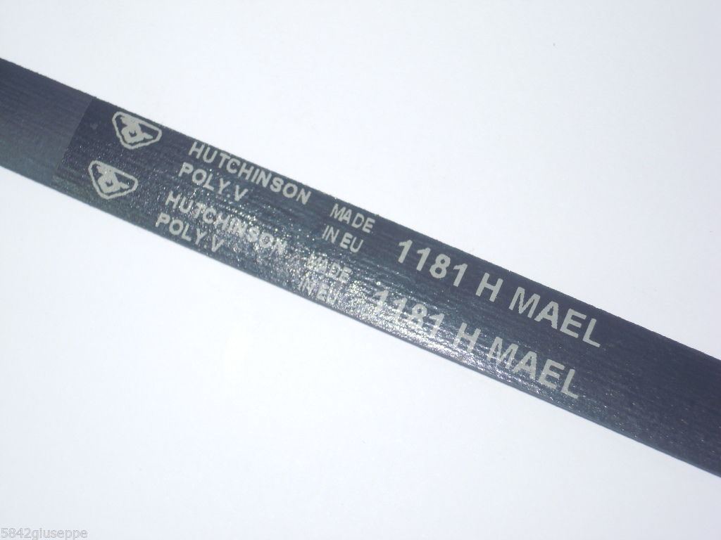 Ricambi 1: CINGHIA LAVATRICE VARIE MARCHE 1181 H8 MAEL cinghia_lavatrice_varie_marche_1181_h8_mael.jpg