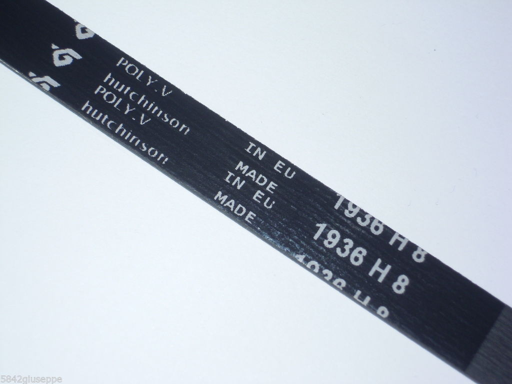 Ricambi 25: CINGHIA LAVATRICE VARIE MARCHE EL 1936 H8 DAYCO cinghia_lavatrice_varie_marche_el_1936_h8_dayco.jpg