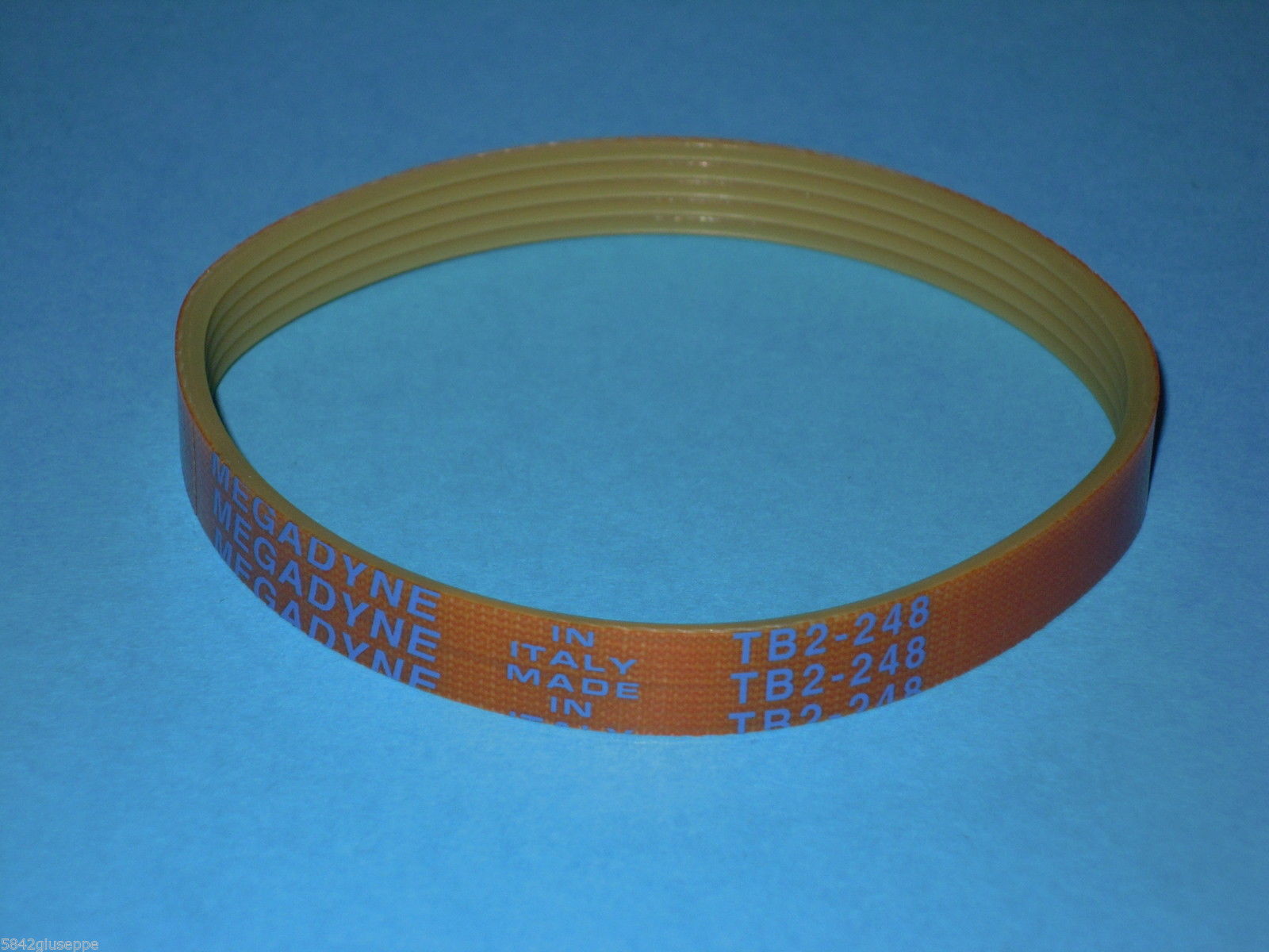 Ricambi 7: CINGHIA MEGADYNE TB2-248 5 NERVATURE CINGHIA AFFETTATRICE BELT MEGADYNE cinghia_megadyne_tb2-248_5_nervature_cinghia_affettatrice_belt_megadyne.jpg