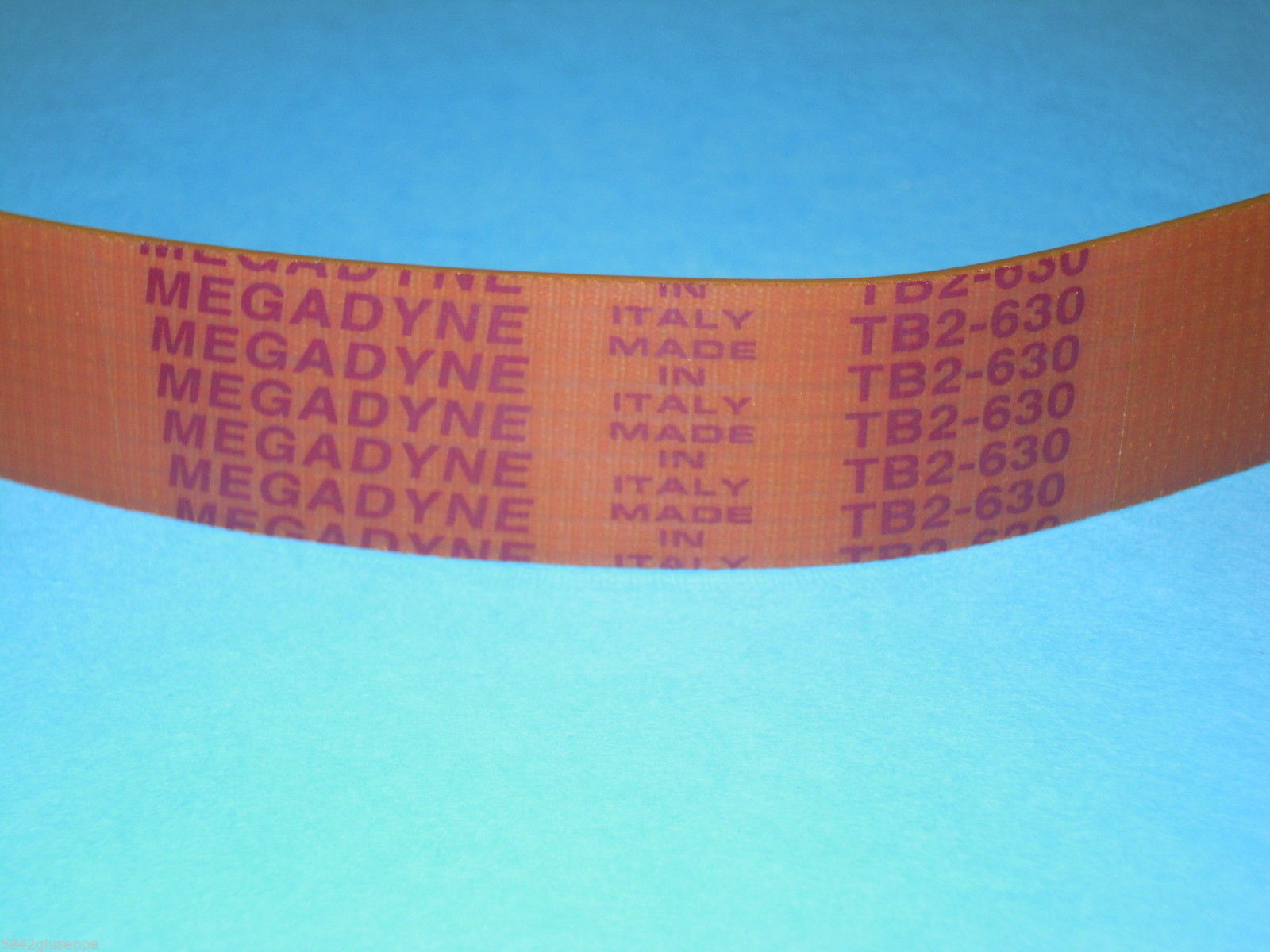 Ricambi 7: CINGHIA MEGADYNE TB2 630 SALUMERIA 12 GOLE 24x630 cinghia_megadyne_tb2_630_salumeria_12_gole_24x630.jpg
