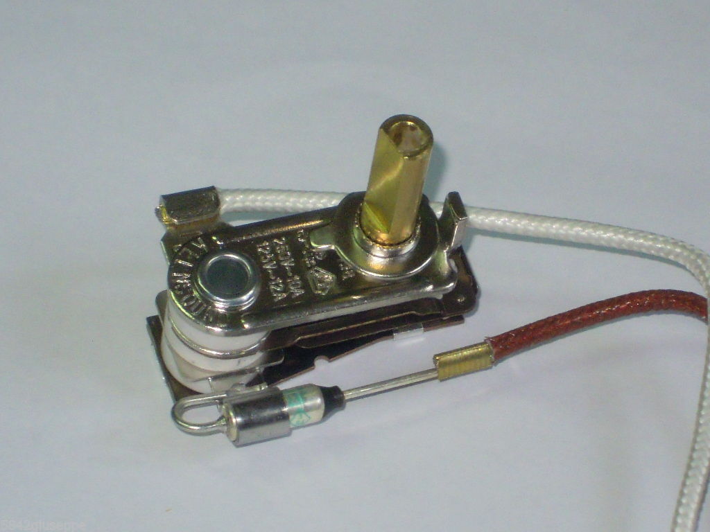 termostato_polti_+_termofusibile.jpg